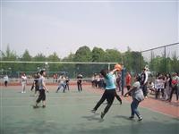 2012年3月—外语系员工排球比赛